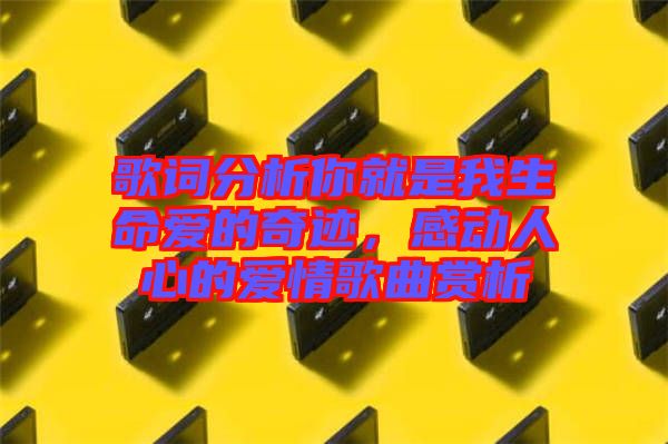 歌詞分析你就是我生命愛的奇跡，感動人心的愛情歌曲賞析