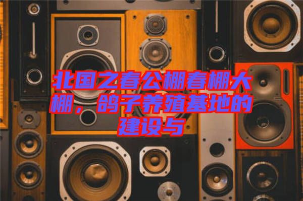 北國之春公棚春棚大棚，鴿子養殖基地的建設與