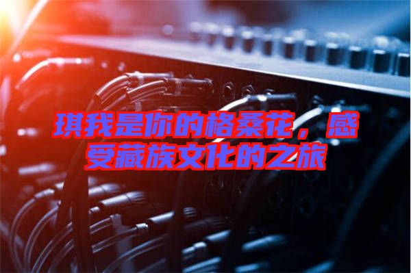 琪我是你的格?；?，感受藏族文化的之旅