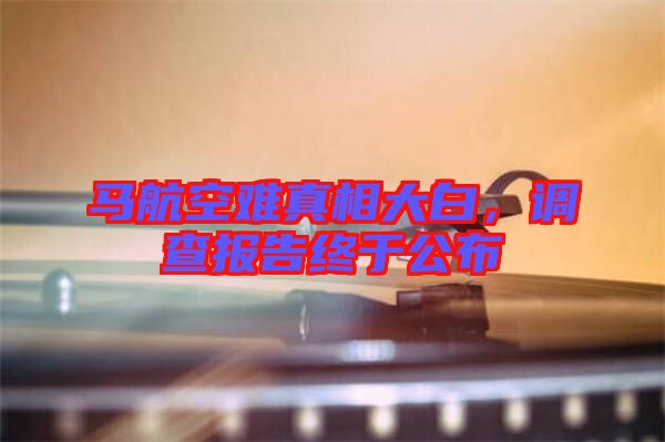 馬航空難真相大白，調查報告終于公布