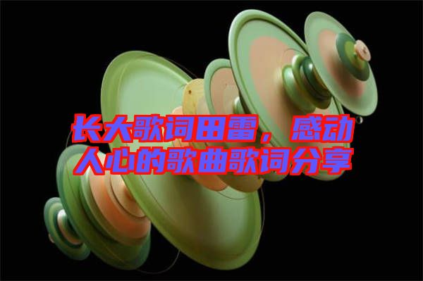長大歌詞田雷，感動人心的歌曲歌詞分享