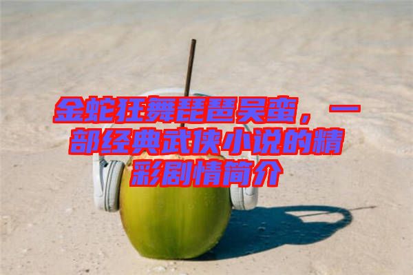 金蛇狂舞琵琶吳蠻，一部經(jīng)典武俠小說的精彩劇情簡介