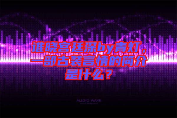 誰曉宮廷深by青燈，一部古裝言情的簡介是什么？