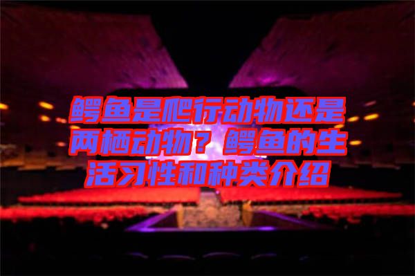 鱷魚是爬行動物還是兩棲動物？鱷魚的生活習性和種類介紹