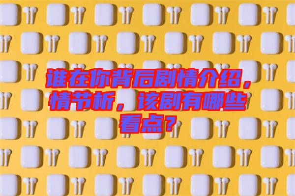 誰在你背后劇情介紹，情節(jié)析，該劇有哪些看點(diǎn)？