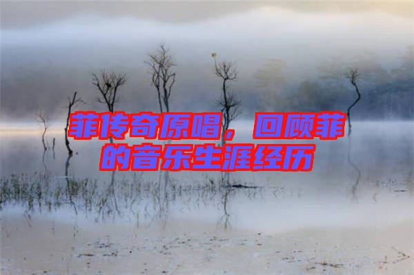 菲傳奇原唱，回顧菲的音樂生涯經歷