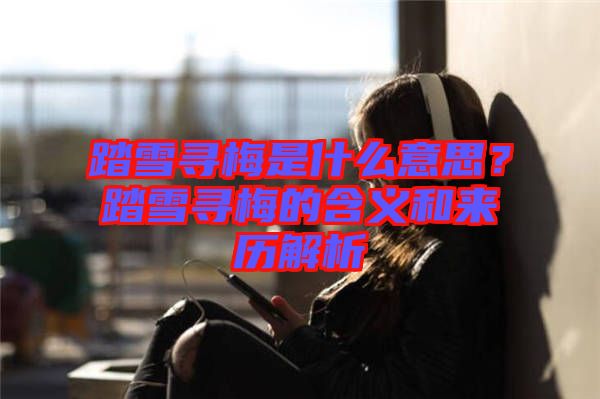 踏雪尋梅是什么意思？踏雪尋梅的含義和來歷解析