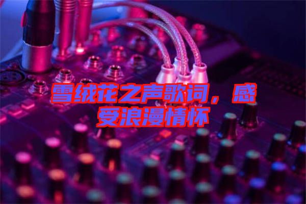 雪絨花之聲歌詞，感受浪漫情懷