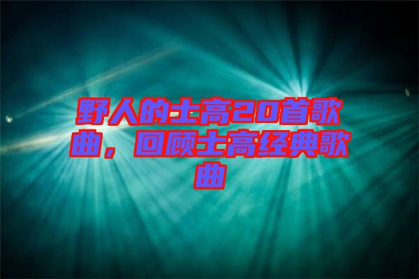 野人的士高20首歌曲，回顧士高經典歌曲